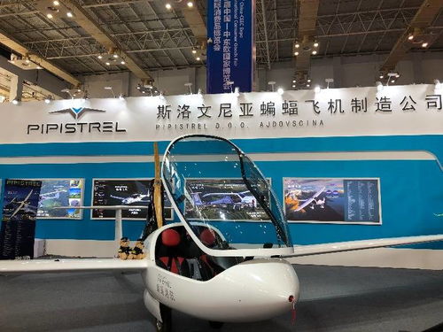 高技術與特色產品亮相中東歐博覽會，推動國際技術開發合作