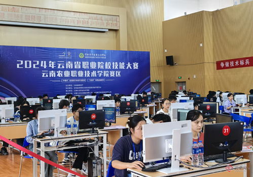 軟件英才聚云農(nóng)職，系統(tǒng)開發(fā)展技能風采——全省26所高職院校應用軟件系統(tǒng)開發(fā)競賽側記